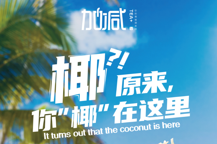 月博椰子系列新品火爆上市